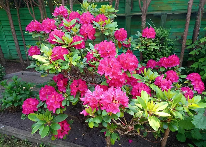 Guest house Przystan